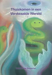 Omslag van Thuiskomen in een Verdwaalde Wereld
