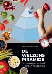 Omslag van Welzijnspiramide