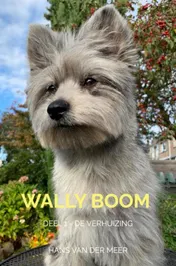 Omslag van Wally Boom