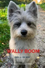 Omslag van Wally Boom