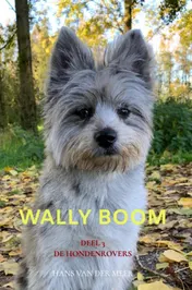 Omslag van Wally Boom