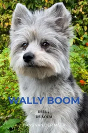Omslag van Wally Boom