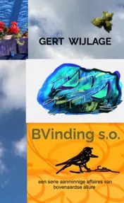 Omslag van BVinding s.o.