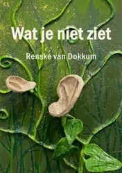 Omslag van Wat je niet ziet