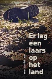 Omslag van Er lag een laars op het land