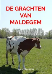 Omslag van De grachten van Maldegem