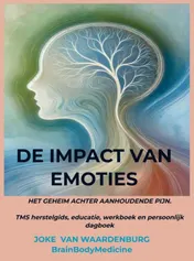 Omslag van De impact van emoties
