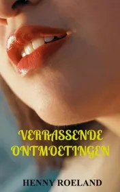 Omslag van Verrassende Ontmoetingen