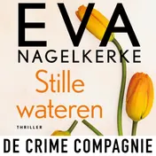 Omslag van Stille wateren