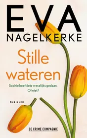 Omslag van Stille wateren
