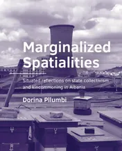 Omslag van Marginalized Spatialities