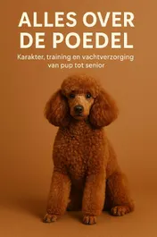 Omslag van Alles over de Poedel