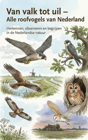 Omslag van Van valk tot uil - Alle roofvogels van Nederland