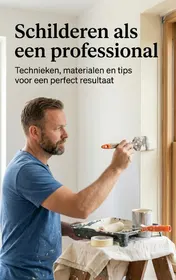 Omslag van Schilderen als een professional
