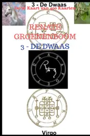 Omslag van De Dwaas