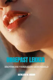 Omslag van Ongepast lekker