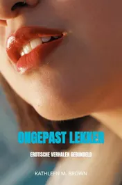 Omslag van Ongepast lekker