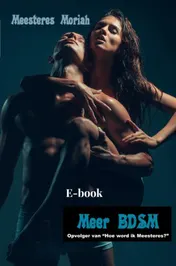 Omslag van Meer BDSM