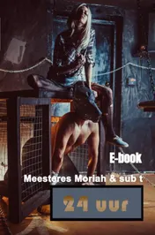 Omslag van 24 uur
