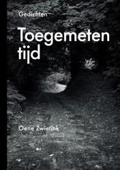 Omslag van Toegemeten tijd