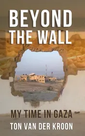 Omslag van Beyond the wall