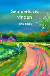 Omslag van Gemoedsrust vinden
