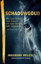 Omslag van Schaduwgoud