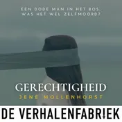 Omslag van Gerechtigheid
