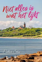 Omslag van Niet alles is wat het lijkt