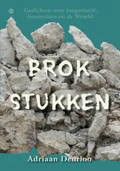 Omslag van Brokstukken