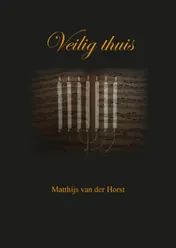 Omslag van Veilig thuis
