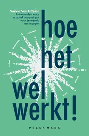 Omslag van Hoe het wél werkt!