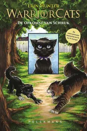 Omslag van De opkomst van Schruk