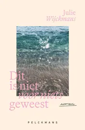 Omslag van Dit is niet voor niets geweest