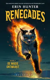 Omslag van De magie ontwaakt