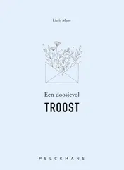 Omslag van Een doosjevol TROOST