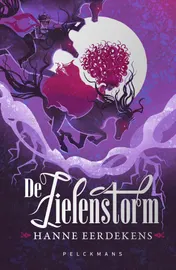 Omslag van De Zielenstorm