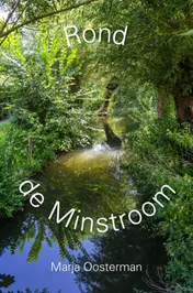 Omslag van Rond de Minstroom