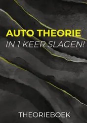Omslag van Auto theorie: In 1 Keer Slagen