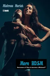 Omslag van More BDSM