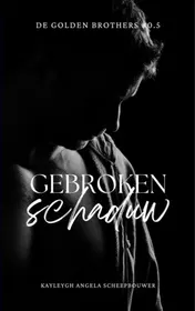 Omslag van Gebroken schaduw