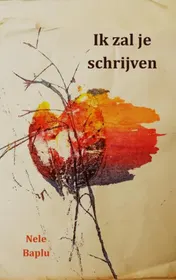 Omslag van Ik zal je schrijven
