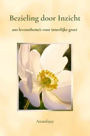 Omslag van Bezieling door Inzicht