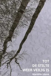 Omslag van Tot de stilte weer veilig is