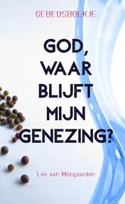 Omslag van God, waar blijft mijn genezing? Gebedsboekje