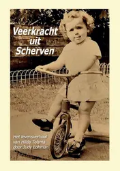 Omslag van Veerkracht uit scherven