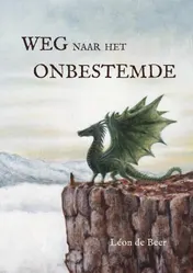 Omslag van Weg naar het onbestemde
