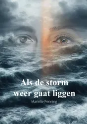Omslag van Als de storm weer gaat liggen