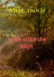 Omslag van In de stilte die blijft