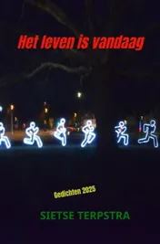 Omslag van Het leven is vandaag